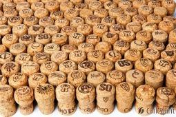 Used Champagne Corks - Wide Variety
