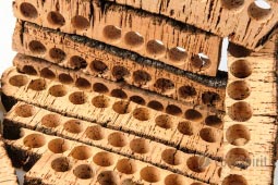 Natural Cork Pieces for Crafts